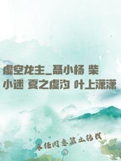 虚空龙主